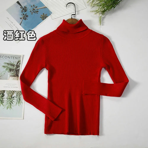 2024 Simple Women Turtleneck Sweater Winter Fashion Pullover Elastic